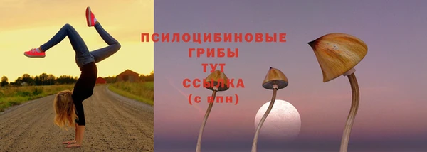 экстази Баксан