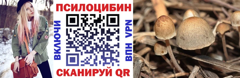 Галлюциногенные грибы Psilocybine cubensis  дарнет шоп  Солнечногорск 